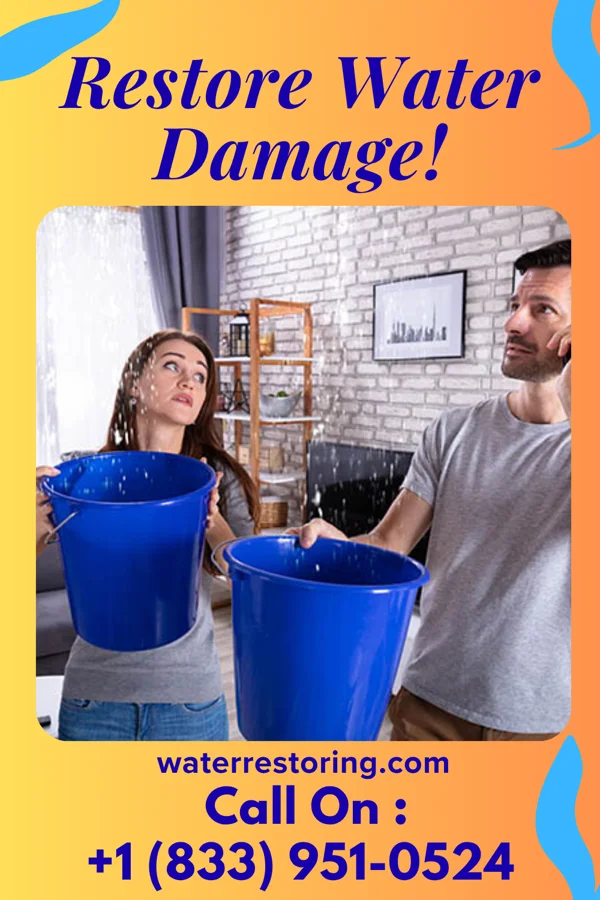 water restoration Modern Water Cleanup Group Fortescue